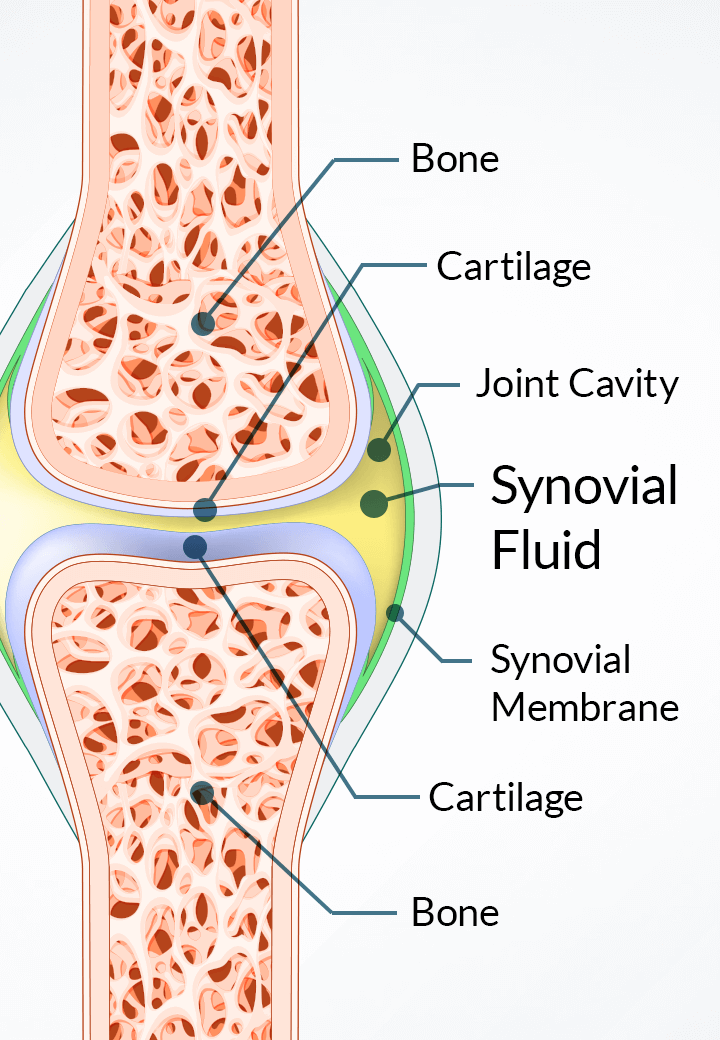 BIODYNAMIX® - Official Website